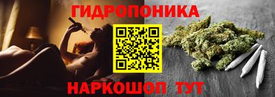 прущие грибы Ликино-Дулёво